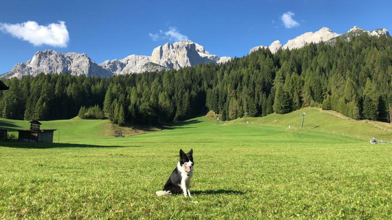 Civico 10 Lägenhet Candide Exteriör bild